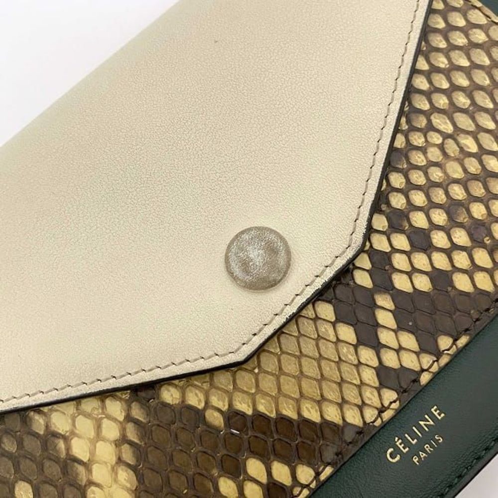 Celine Snakeskin Python Clutch Bag Green White - image 6
